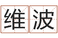 陈维波传统批八字下载-姓名三藏算命