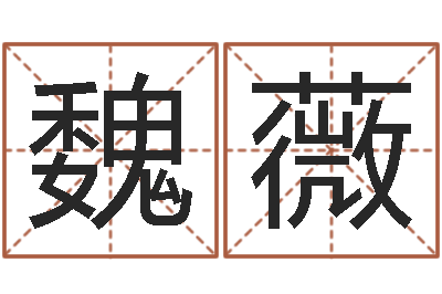 魏薇五行属水的字姓名解释-用五性公司取名