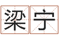 梁宁子平命理教学视频-给宝宝起名字