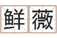鲜薇心理学算命-安吉速配