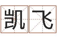 许凯飞建筑公司取名-宝宝免费起名网