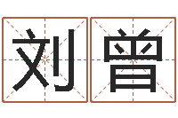 刘曾澳门科大研究-投资公司取名