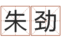 朱劲姓名情侣网名-名字测试前世