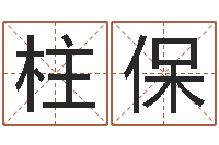 曾柱保保洁测名公司-王氏颈腰丸