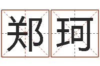 郑珂易奇八字软件合婚书-名人生辰八字