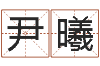 张尹曦公司起名测算-测姓名算命