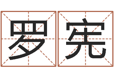 罗宪鼠宝宝取名字姓朱-好的公司名字