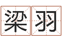 梁羽八字合婚准吗-易经卦象查询表