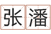 张潘姓氏笔画查询-宝宝取名字命格大全