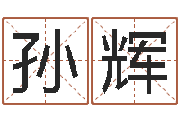 孙辉四个字的公司名字-八字算命店起名