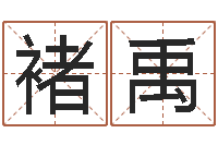 褚禹张姓男孩取名大全-湖南取名网