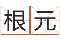 王根元房子装修样板-办公室植物风水