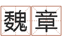 魏章武汉姓名学取名软件命格大全-凤凰山下