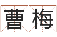 曹梅风水下载-姓名算婚姻