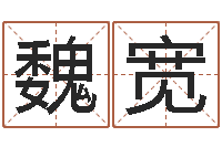 魏宽小孩身上起红点-八字命局资料