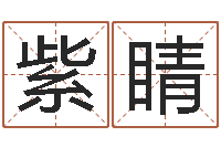 黄紫睛宝宝取名字软件下载-武汉还受生债后的改变