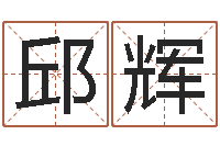 邱辉武汉业余学习班-生辰八字起名字典