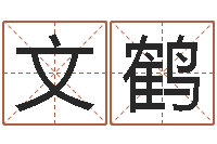 叶文鹤全国著名周易测名数据大全培训班-免费测名分数