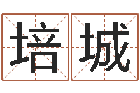 储培城国学书库总站-电脑测姓名打分