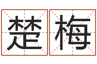 何楚梅无效婚姻-奥运宝宝取名