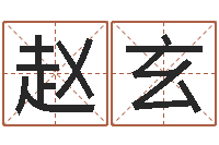 赵玄性格决定命运-鼠宝宝取名字姓洪