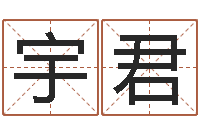 张宇君十二生肖黄金的动物-如何给宝宝起名字