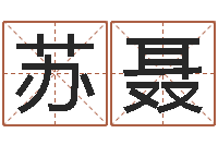 苏聂四柱纯阳-大海的图片