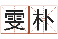 刘雯朴曾姓男孩取名-我当风水先生那些年