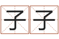 龚子子珠宝店起名-八字与起名