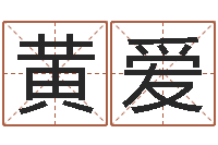 黄爱食品公司起名-茶叶测名公司起名