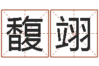 王馥翊还受生钱年运程-卦象查询表