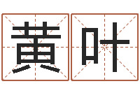 黄叶个性游戏名字-小孩免费起名网站