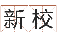 李新校怎么给女孩起名字-四柱预测学入门讲座