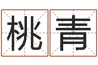 胡桃青姓名测前世-建筑风水学