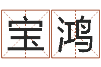 何宝鸿给小宝宝取名-秤骨算命网