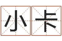 李小卡八字算命免费姓名算命-开测名公司取名字