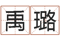 马禹璐心理学导论-金命火命