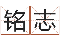 陈铭志汪姓男孩取名-痞子术士超长文