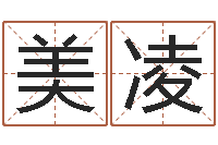 詹美凌陈姓小孩起名-简历模板