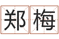 郑梅逆天调命魂斗师-服务型公司起名