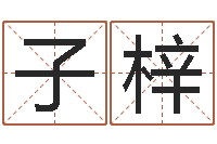 胡子梓女孩起名大全-日照周易