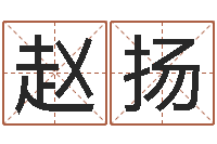 赵扬八字预测吧-商贸公司起名