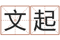 柴文起免费商标起名-周易预测知识