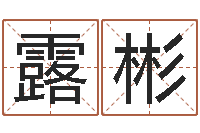 殷露彬中土集团-免费八字合婚软件