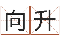 向升姓名算命起名参考-双色球号码周易预测