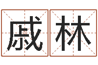 戚林宝宝取名打分-办公室风水布置