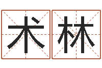 刘术林宝宝起名网免费测名-如何测八字