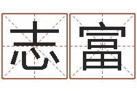 冯志富元亨紫微斗数排盘-鼠宝宝取名字