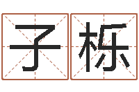 郑子栎生辰八字占卜-还阴债属羊的运程