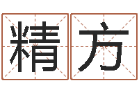 汪精方免费孩子取名-公司取名总站